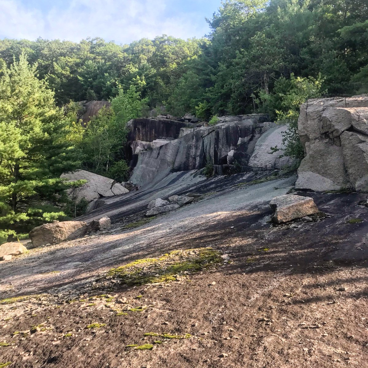 Sunday morning ride on the east side. #outerlimits to #twighlightzone #mountainbikelife #northconway #whitemountains