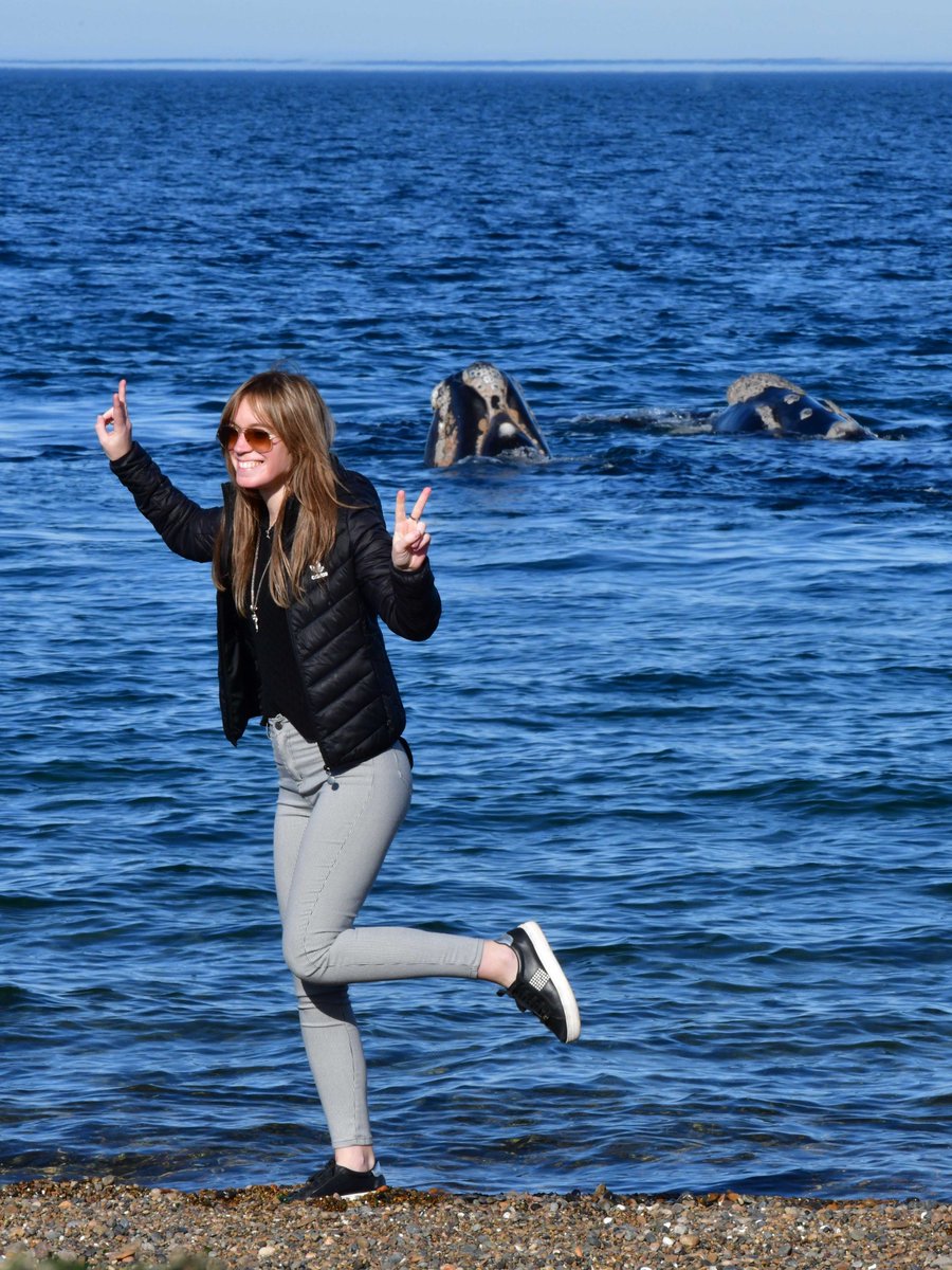 maxijonas's tweet photo. Una tarde en El Doradillo  #Madryn #LaMásLinda #Chubut #ballenas https://t.co/Afy48B3Lh0