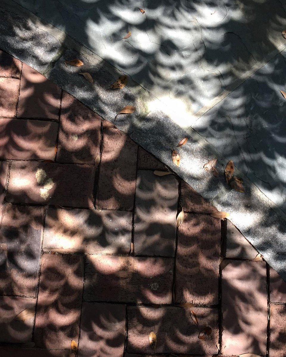 HistColumbia's tweet photo. This was one of our favorites from #TotalEclipseCAE. #OTD #realcolumbiasc #TotalEclipse2017 https://t.co/qtrpa7t4b8
