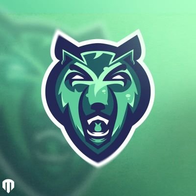 Copa Stars tweet media