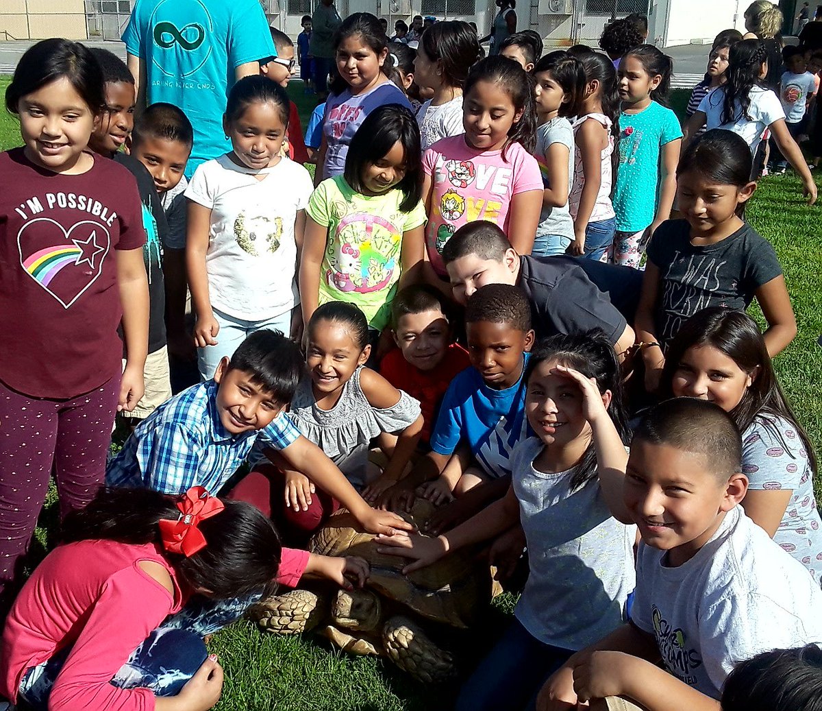 Avi_cueto's tweet photo. So proud of my kiddos...5 days of perfect attendance in our class! Loved meeting Mr. Shelby, the tortoise, yesterday. #teambcad #teamcasaloma #perfectAttendance https://t.co/ZeeLS7N4cA