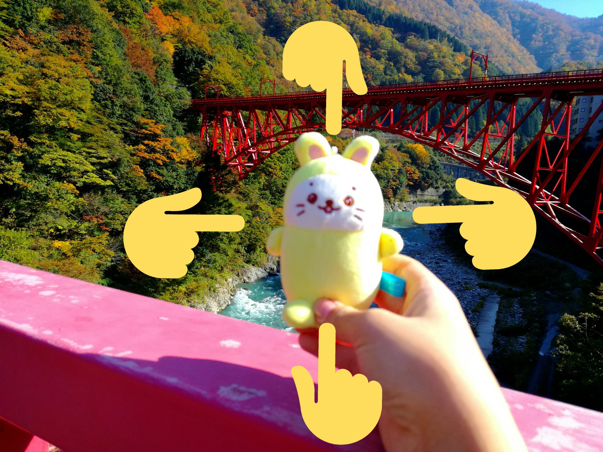 探しています ぷん太 あざらしのマスコット Pun8067 Twitter
