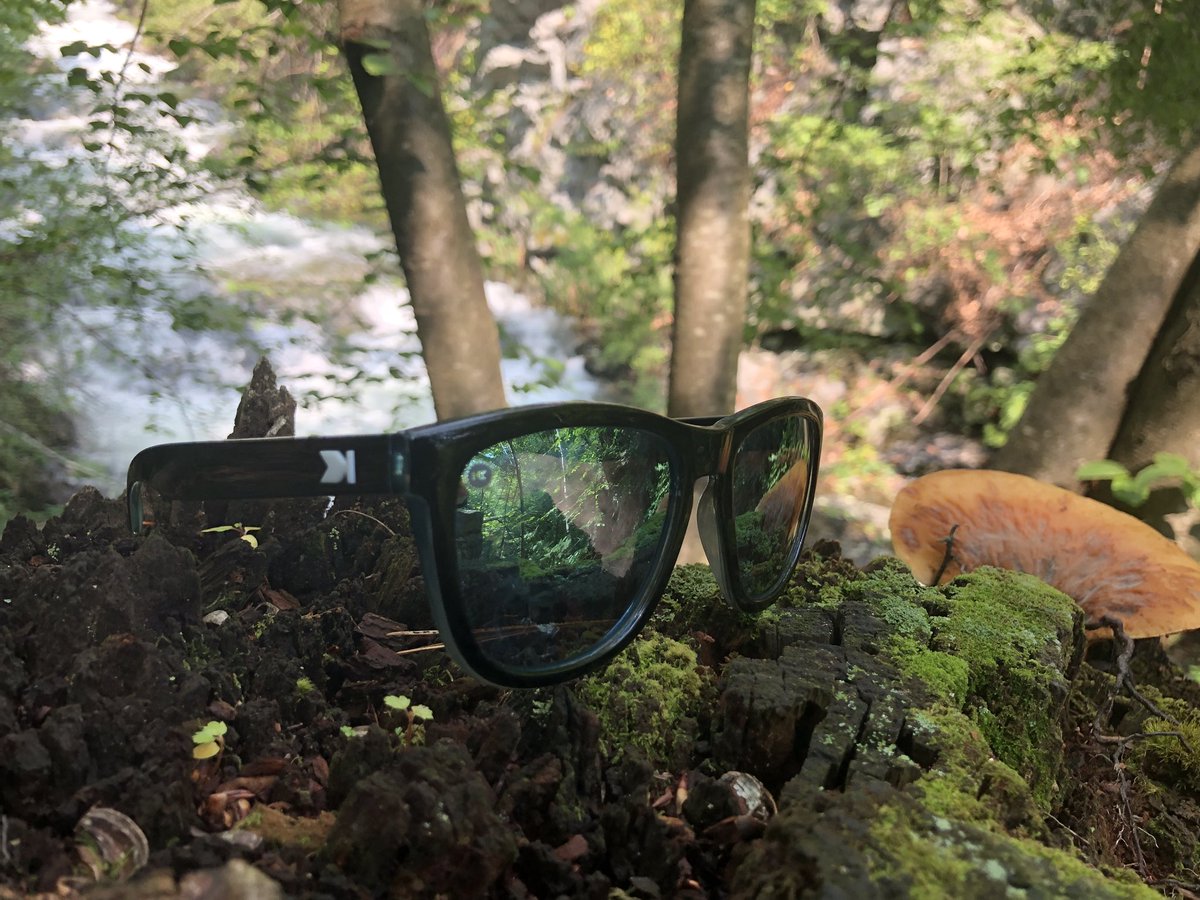 brendas_outside's tweet photo. Summer lovin. Summer Knocks. Get yours with a 20% discount code: BibRaveKnocks20 ๐ @Knockaround #knockaroundbr #summerknocks #knockfan #sunglasses #summer #shades https://t.co/pOH3wRyqAU