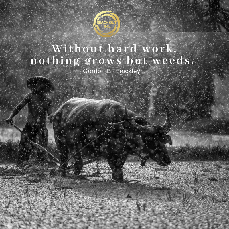 Reach_Out_Inc's tweet photo. Every good thing requires hard work. 
#ReachOutPh #hardwork https://t.co/AOP0nur06l