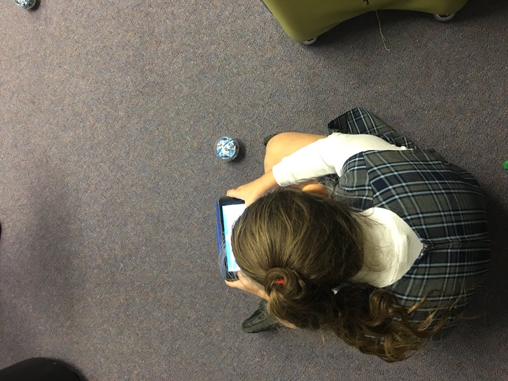 Emilie Caillot tweet media