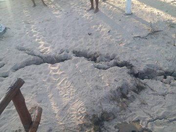 Ver imagen en Twitter