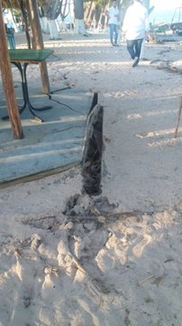 Ver imagen en Twitter