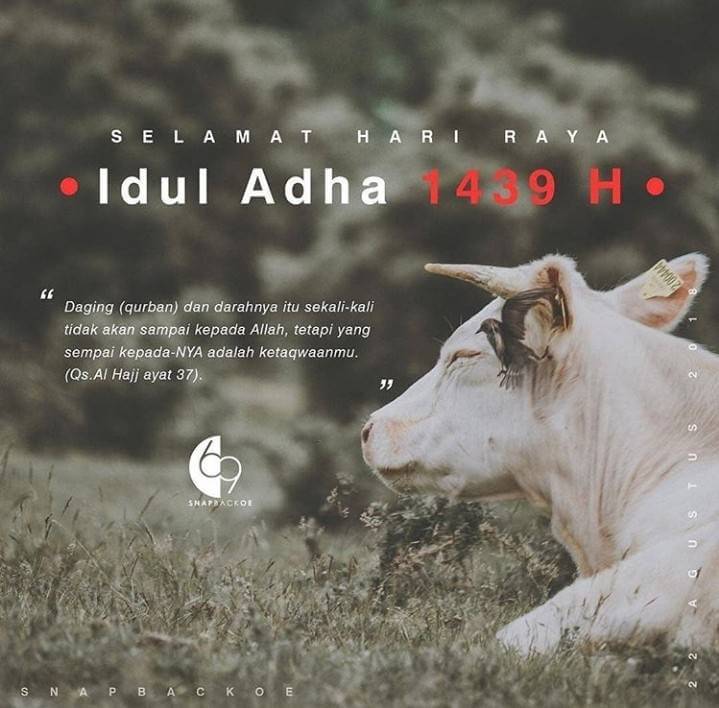 AgusHariRamdhani (@agusgooner_) on Twitter photo 