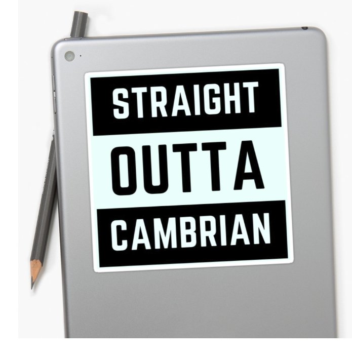 Chris_Aucoin's tweet image. Time for a travel through #GeologicTime! What is your favorite aspect of the #Cambrian? 

redbubble.com/people/christo…