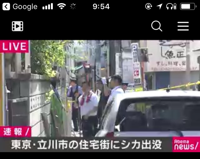 シカでした 東京都立川市の住宅街にシカが出没 警察が捕獲作業 やはり立川にはブッダがいるのでは まとめダネ