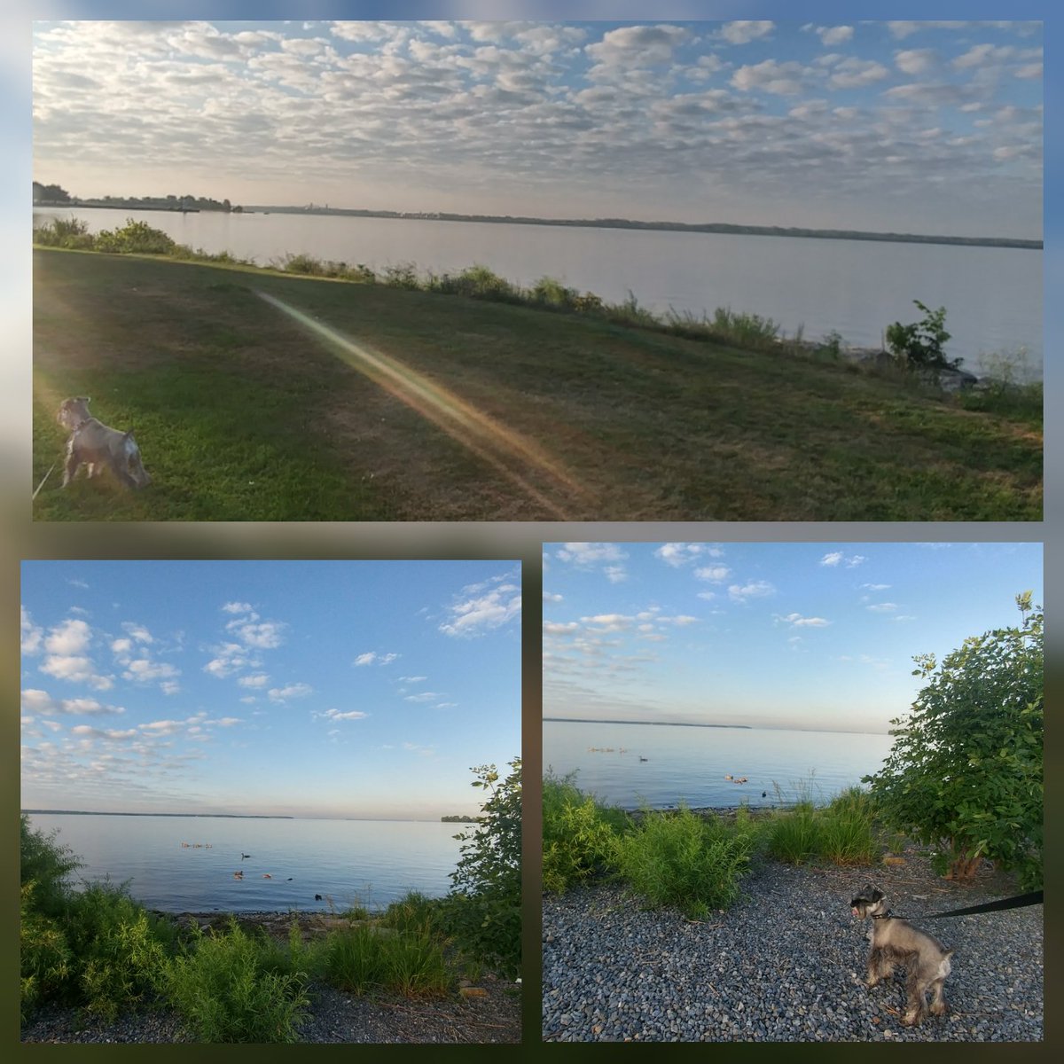 MtlElena's tweet photo. Beautiful time in summer outdoors. Need to take a moment to stop and enjoy the sun, peace and nature #outdoors #naturelovers #wellness https://t.co/uVWyvsjUC4
