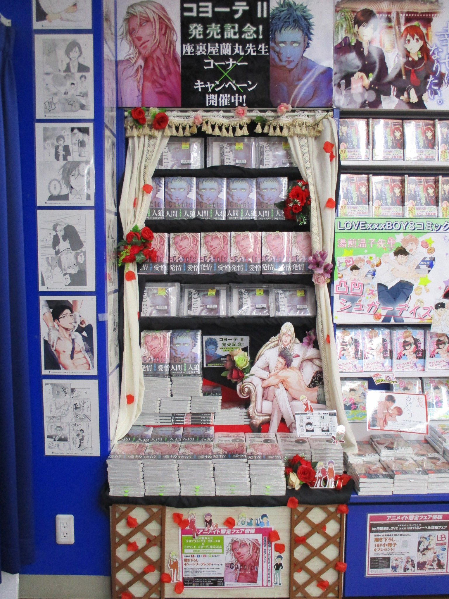 アニメイト池袋本店 新刊情報 コヨーテ Ii 販売中アニ アニメイト 限定セット ドラマcd付き もございます 更にドラマcd コヨーテ 初回限定盤 もしくは コヨーテ 通常盤 との連動購入特典として描き下ろし4pリーフレットををプレゼント中