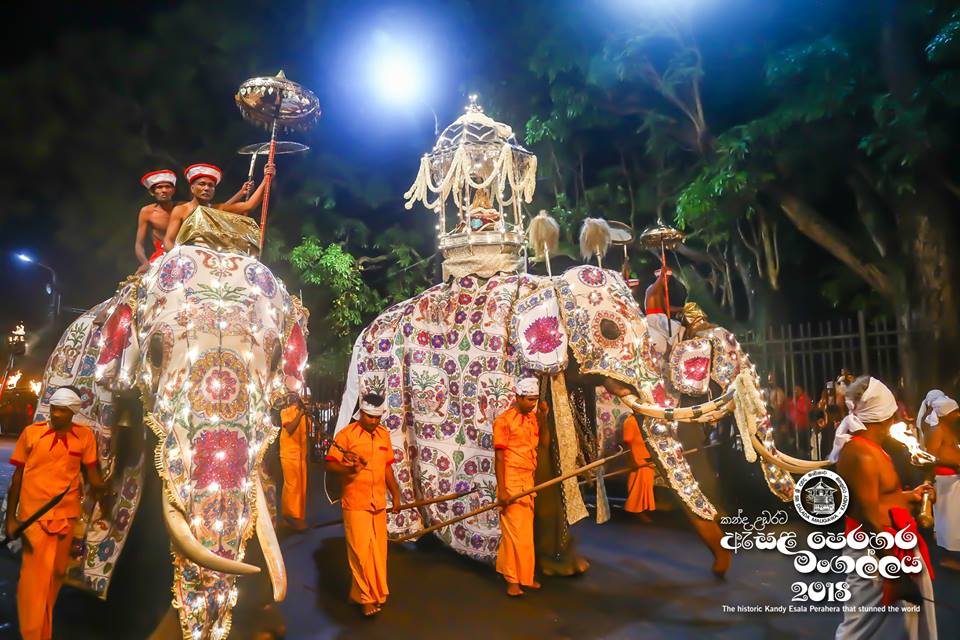 srilankandream's tweet photo. Tour Package for Kandy Esala Perahera is designed with the flights from UK to Sri Lanka with VISAs. It covers the accommodation, airport transfers &amp; provide the facility to witness this magnificent cultural pagent for a day in a reserved seating. Book Now: https://t.co/x1AojiMj8o https://t.co/UTTG2USlky