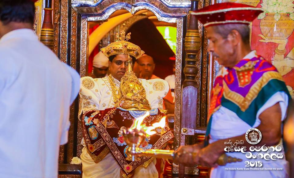 srilankandream's tweet photo. Tour Package for Kandy Esala Perahera is designed with the flights from UK to Sri Lanka with VISAs. It covers the accommodation, airport transfers &amp; provide the facility to witness this magnificent cultural pagent for a day in a reserved seating. Book Now: https://t.co/x1AojiMj8o https://t.co/UTTG2USlky