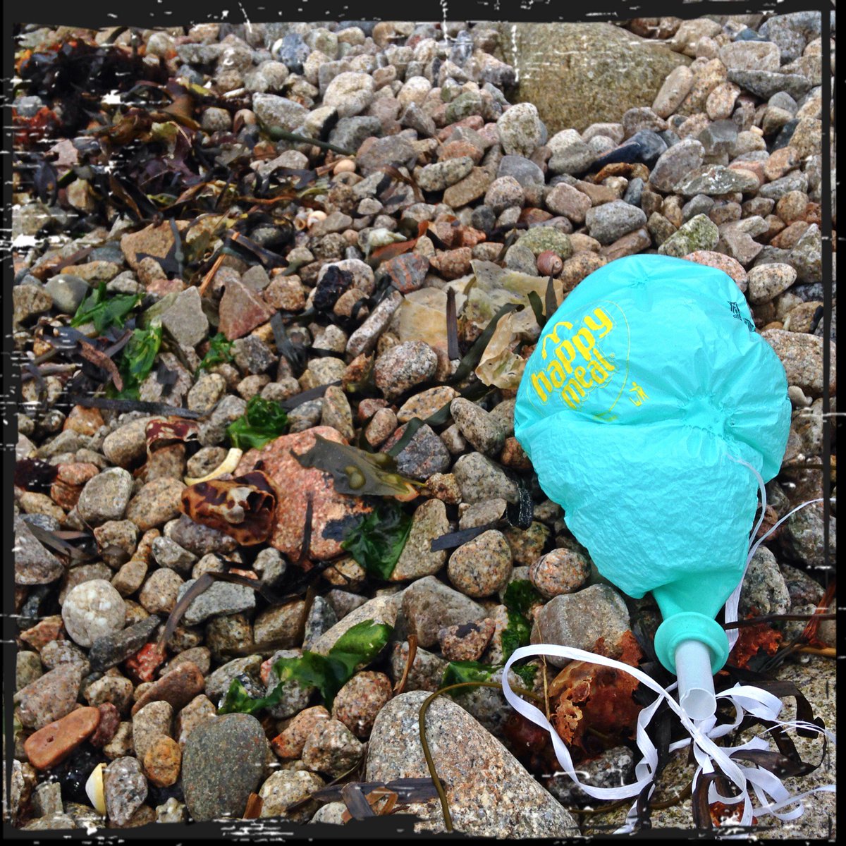 BBC Cornwall tweet media