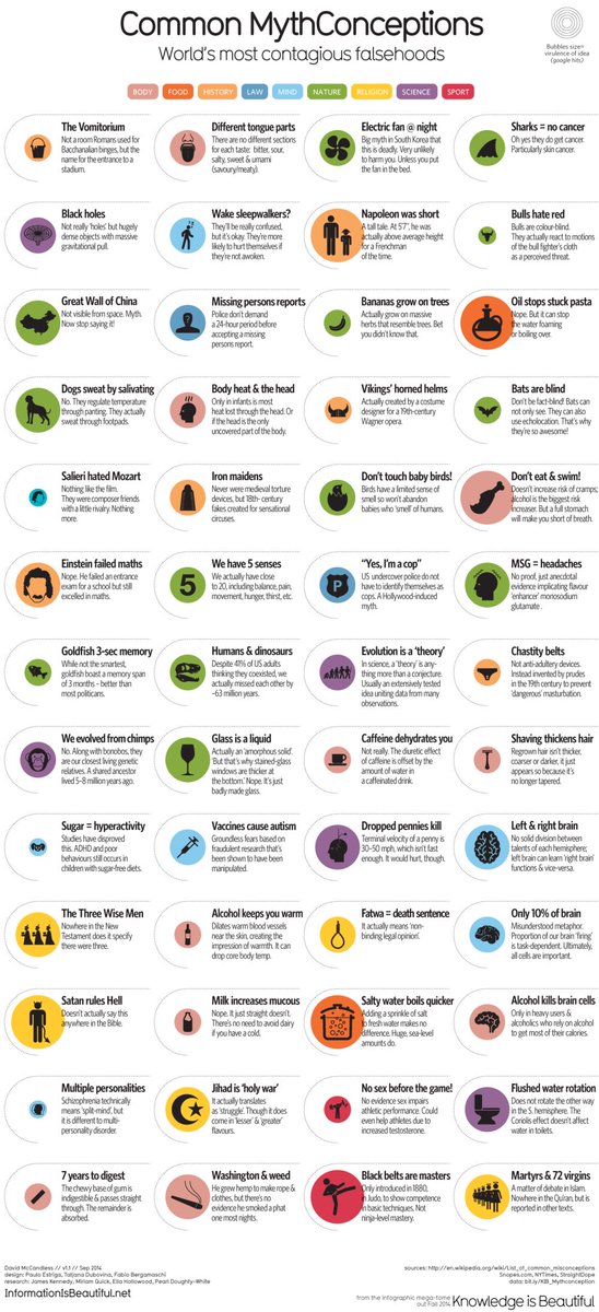 read diachrony of verb morphology