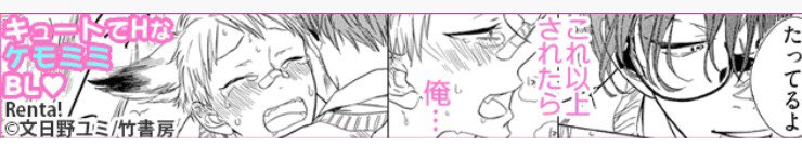 Renta!さんのキツネさん〜広告に遭遇できました!また流して頂いてるみたいです??広告バナーから見所などまとめて頂いてるページに飛べます〜 