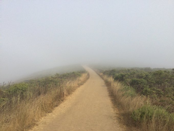 Last Saturday&rsquo;s #run: 20.5 miles &amp; 3570' under, through, and above the clouds. Started with #SFRC, with<a href="/tag/run"class="tags">#run</a><a href="/tag/runner"class="tags"><span>#runner</span></a><a href="/tag/runners"class="tags"><span>#runners</span></a><a href="/tag/getoutside"class="tags"><span>#getoutside</span></a><a href="/tag/trailrun"class="tags"><span>#trailrun</span></a><a href="/tag/marin"class="tags"><span>#marin</span></a>