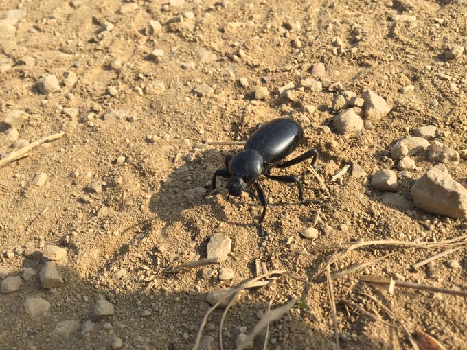 Last Saturday&rsquo;s #run: 20.5 miles &amp; 3570' under, through, and above the clouds. Started with #SFRC, with<a href="/tag/run"class="tags">#run</a><a href="/tag/runner"class="tags"><span>#runner</span></a><a href="/tag/runners"class="tags"><span>#runners</span></a><a href="/tag/getoutside"class="tags"><span>#getoutside</span></a><a href="/tag/trailrun"class="tags"><span>#trailrun</span></a><a href="/tag/marin"class="tags"><span>#marin</span></a>