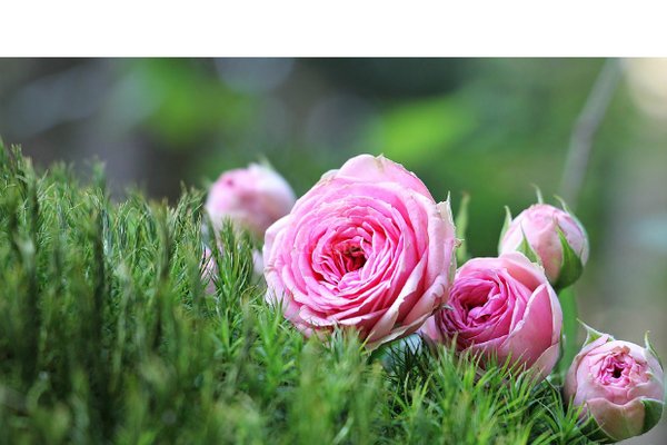 Retocar sin ser obvio
multiestetica.com/articulos/reto…