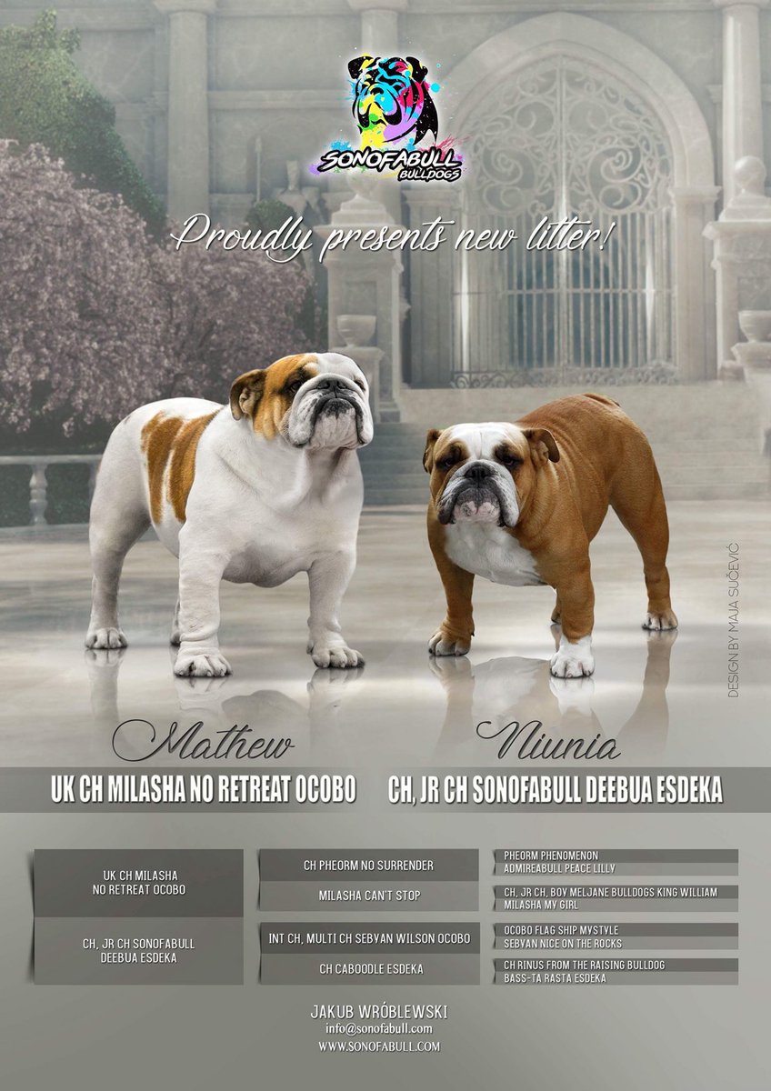 collectibulldog's tweet photo. https://t.co/fvNOMSky71

#BULLISHMAG https://t.co/HFMwNoyaYy