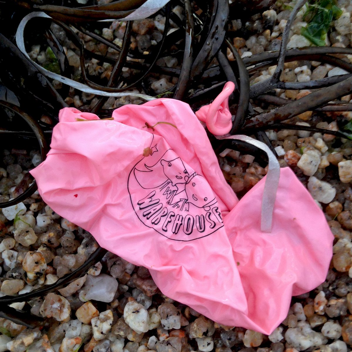 BBC Cornwall tweet media