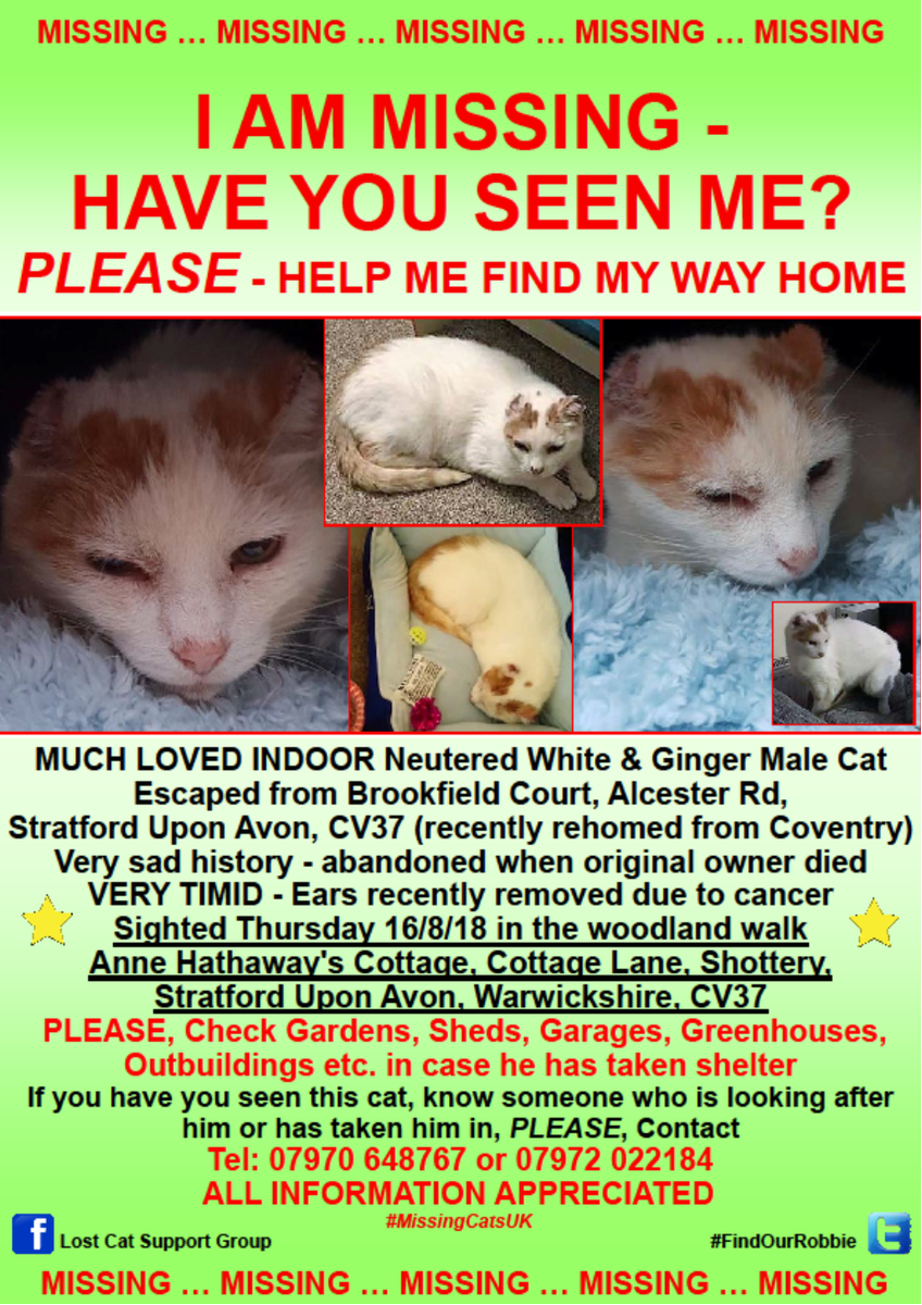 CatsMissing's tweet photo. 🆘#FindOurRobbie INDOOR #LostCat
Escaped 11/8 Brookfield Court Alcester Rd #StratfordUponAvon CV37 #Warwickshire
Sighted👀Thurs 16/8/18 in woodland🌳walk #AnneHathawaysCottage🏡Cottage Lane #Shottery #StratfordUponAvon #NeedsFindingFast #MissingCatsUK
FB▶https://t.co/bWoXYY7Fqe https://t.co/7DdGkQp8lb