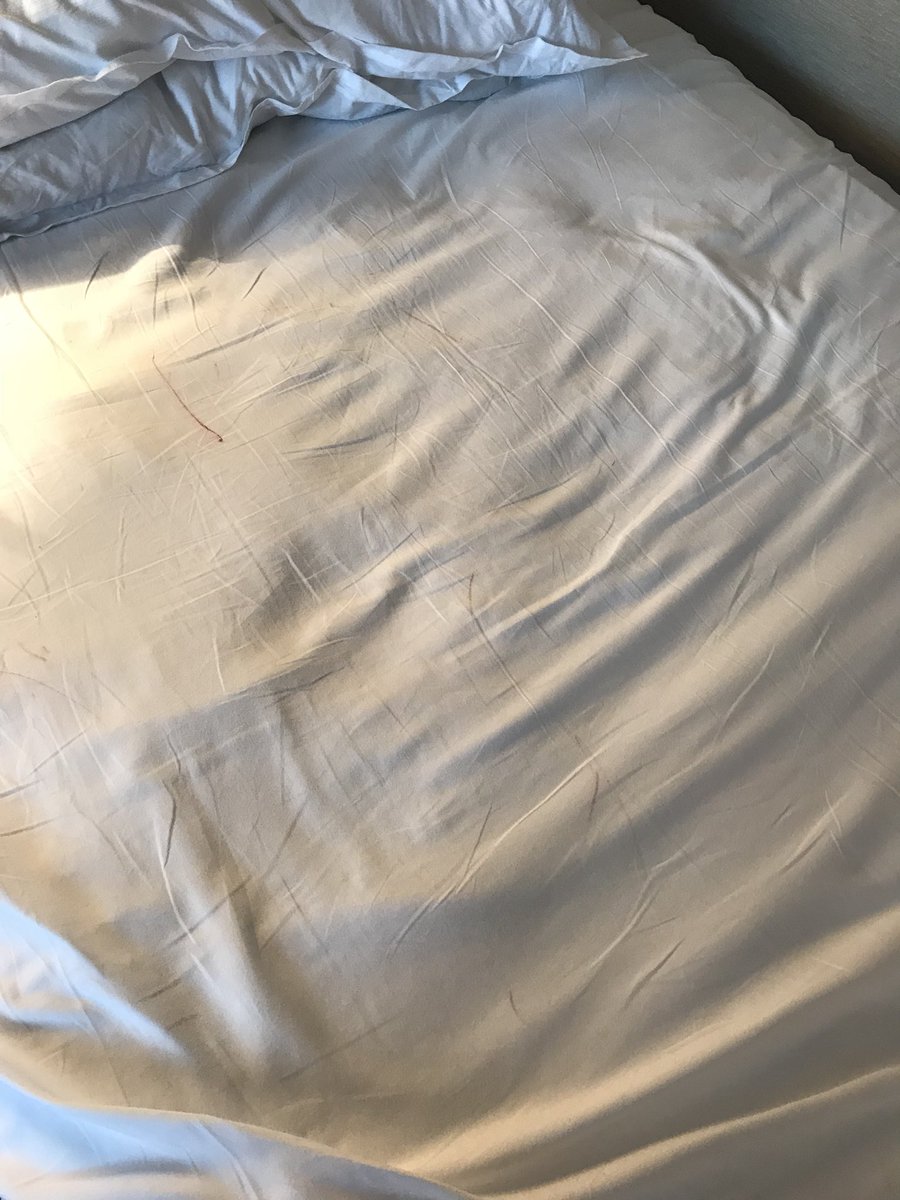 sathynie's tweet photo. @sheratonhotels @spgassist @spg staying at the Sheraton Roma Hotel and Conference Center, this is how you’re being represented. In a very disappointing way. https://t.co/zEKa0CKPsT
