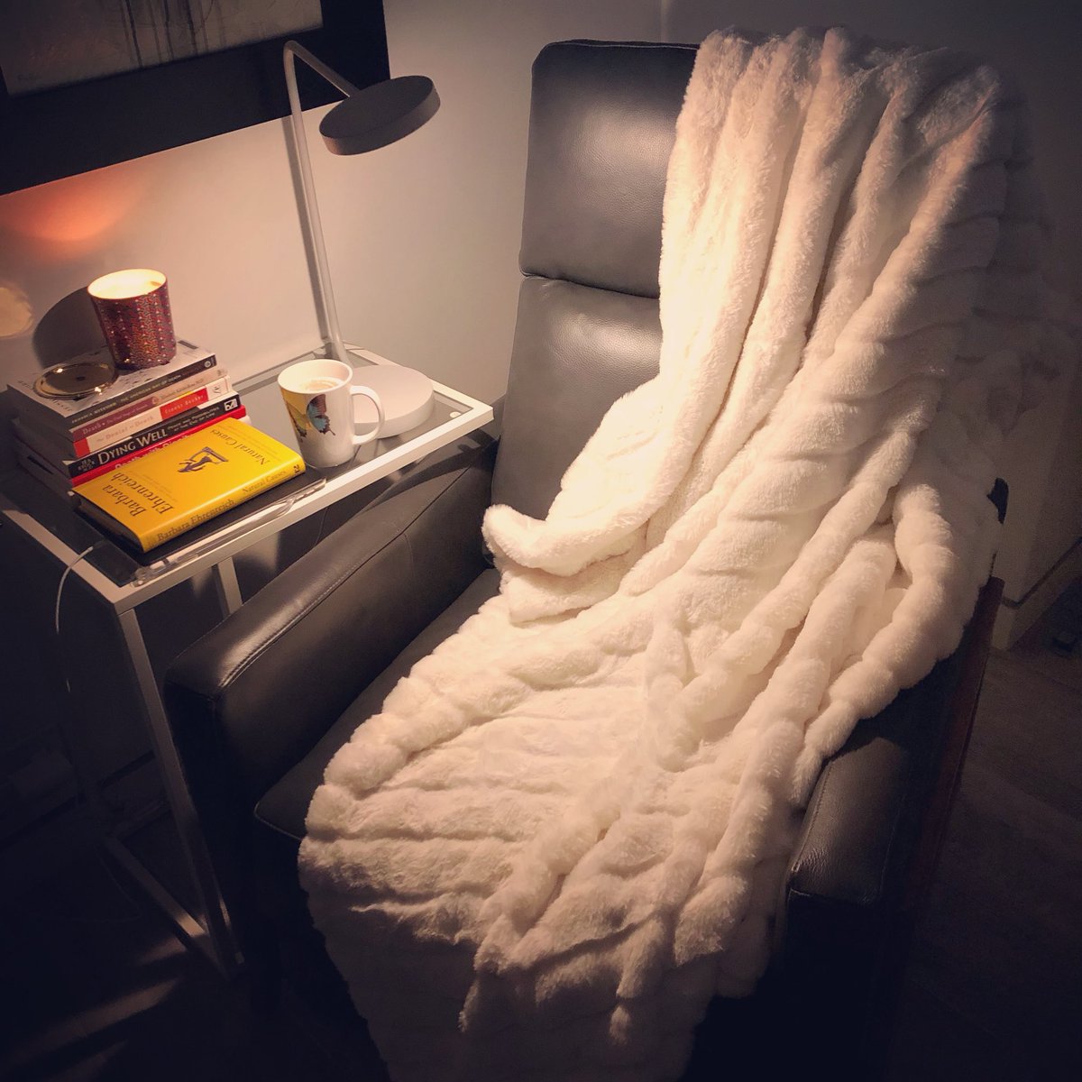 CaraSantaMaria's tweet image. My favorite new corner of the house.  #TermBreak #ReadingNook