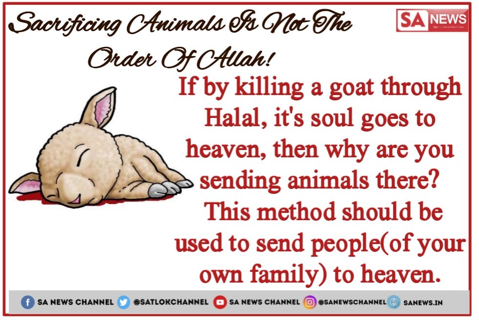 Master46062600's tweet photo. #MeatEatersWillGoToHell Hajrat Mohammed ji never ate meat.must see sadhna TV at 7.30pm https://t.co/YYmxRbaUd2