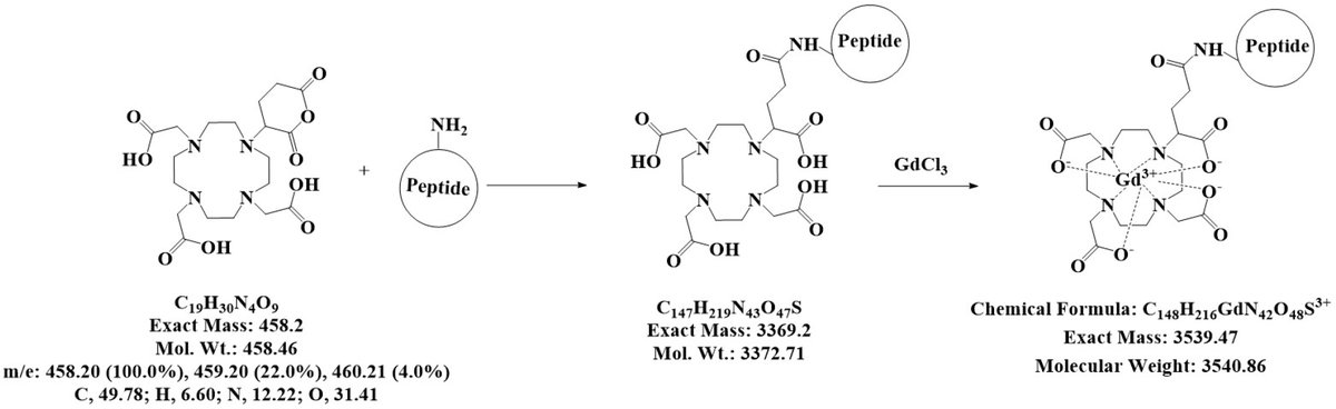Molecules_MDPI's tweet image. #mdpimolecules Imaging of Human Insulin Secreting Cells with Gd-DOTA-P88, a Paramagnetic Contrast Agent Targeting the Beta Cell Biomarker FXYD2γa mdpi.com/329908  
#CellImaging @ULBruxelles