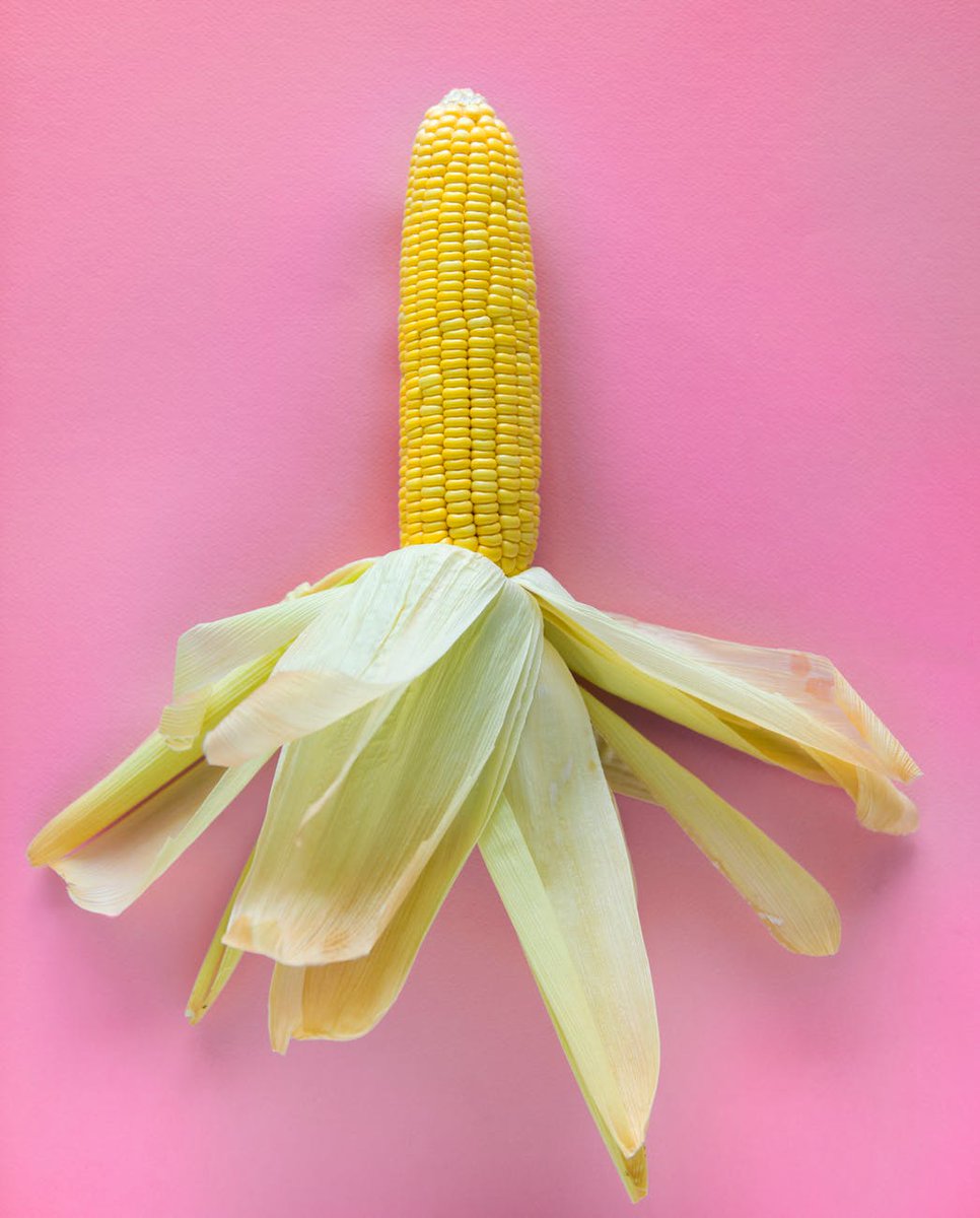 oFarmorganic's tweet photo. Maize or corn is the most used grain plants around the globe. It contains a good amount of fiber. You can have it as syrup, popcorn, salad, etc. Complete your nutrition intake.
Grab a pack now https://t.co/VXAeaIOSNd https://t.co/QVVxJhzzT3