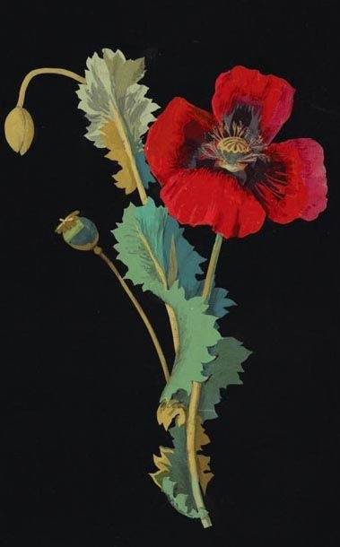 Aesthetic Sharer ZHR tweet media