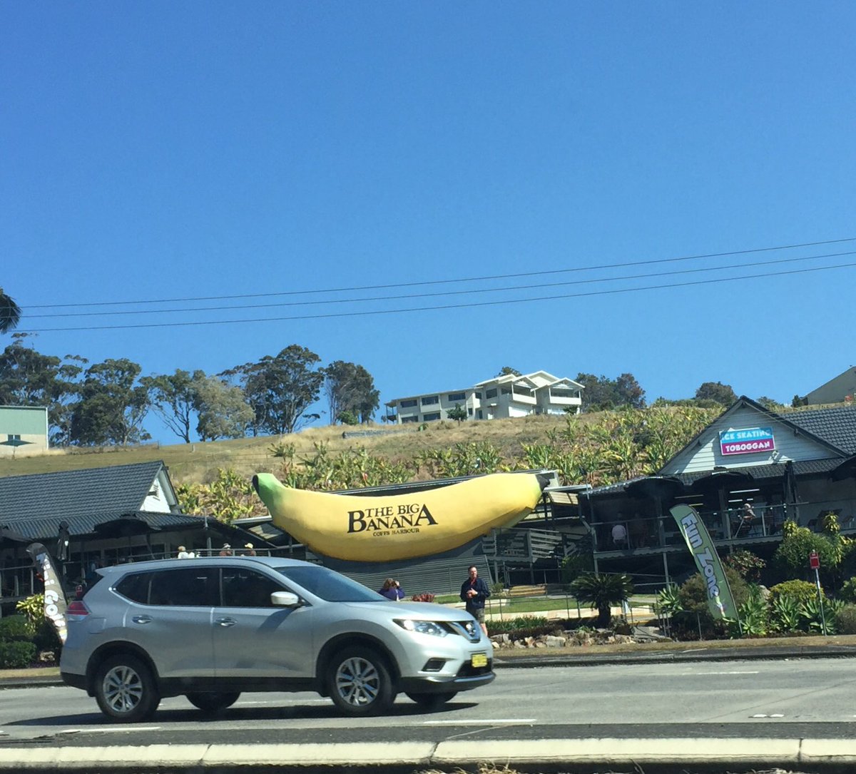 Wubsnet On Twitter Tristanrogers You Have One Spectacular