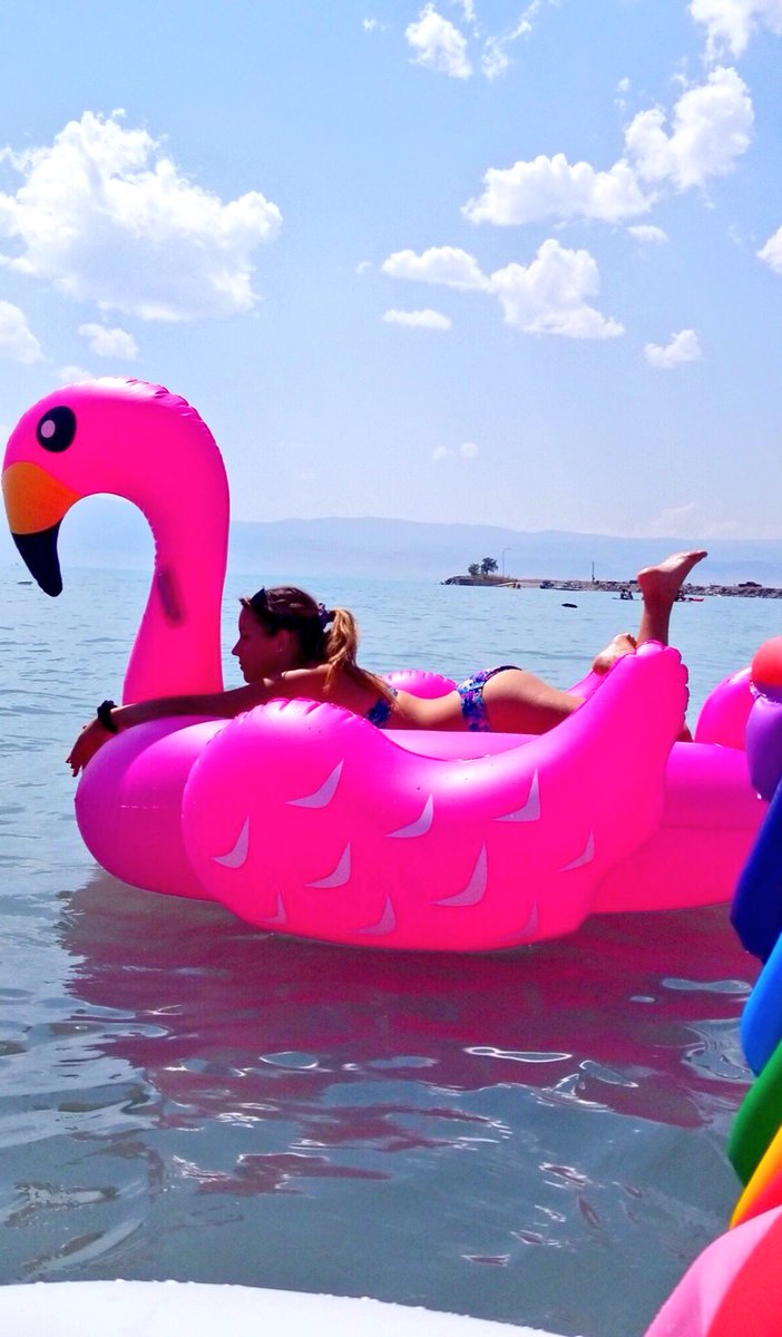 Bear12C's tweet photo. Why are there no flamingo emojis? 🦄☀️🌊👙 https://t.co/hqyZ2NSMMq