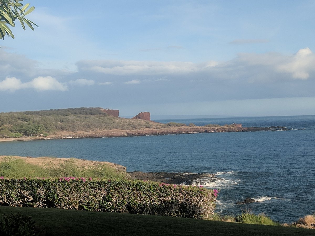 DudeLanai's tweet photo. Nice Tuesday afternoon in lanai https://t.co/IYK4L5f1Ca