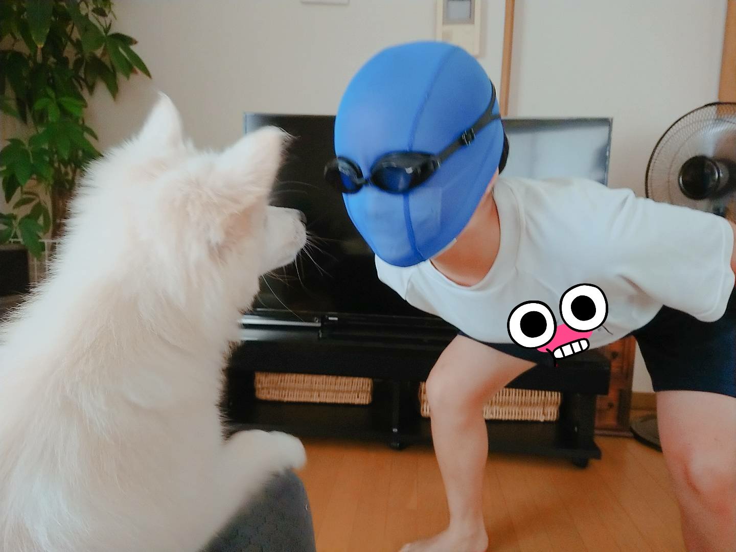 そこら辺の雑草 1枚目 犬と戯れる変態マスクマン 2枚目 Y字バランスの変態マスクマン 3枚目 音ゲー中の変態マスクマン もちろんeasyだよ コッ 撮影者 Ringobyou 0731 で感想してね 雑草の変態マスクマンチャレンジ 変態マスクマン そこら辺の雑草 1枚目 犬と戯れる変態マスクマン 2枚目 Y字バランスの変態マスクマン 3枚目 音ゲー中の変態マスクマン もちろんeasyだよ コッ 撮影者 Ringobyou 0731 で感想してね 雑草の変態マスクマンチャレンジ 変態マスクマン