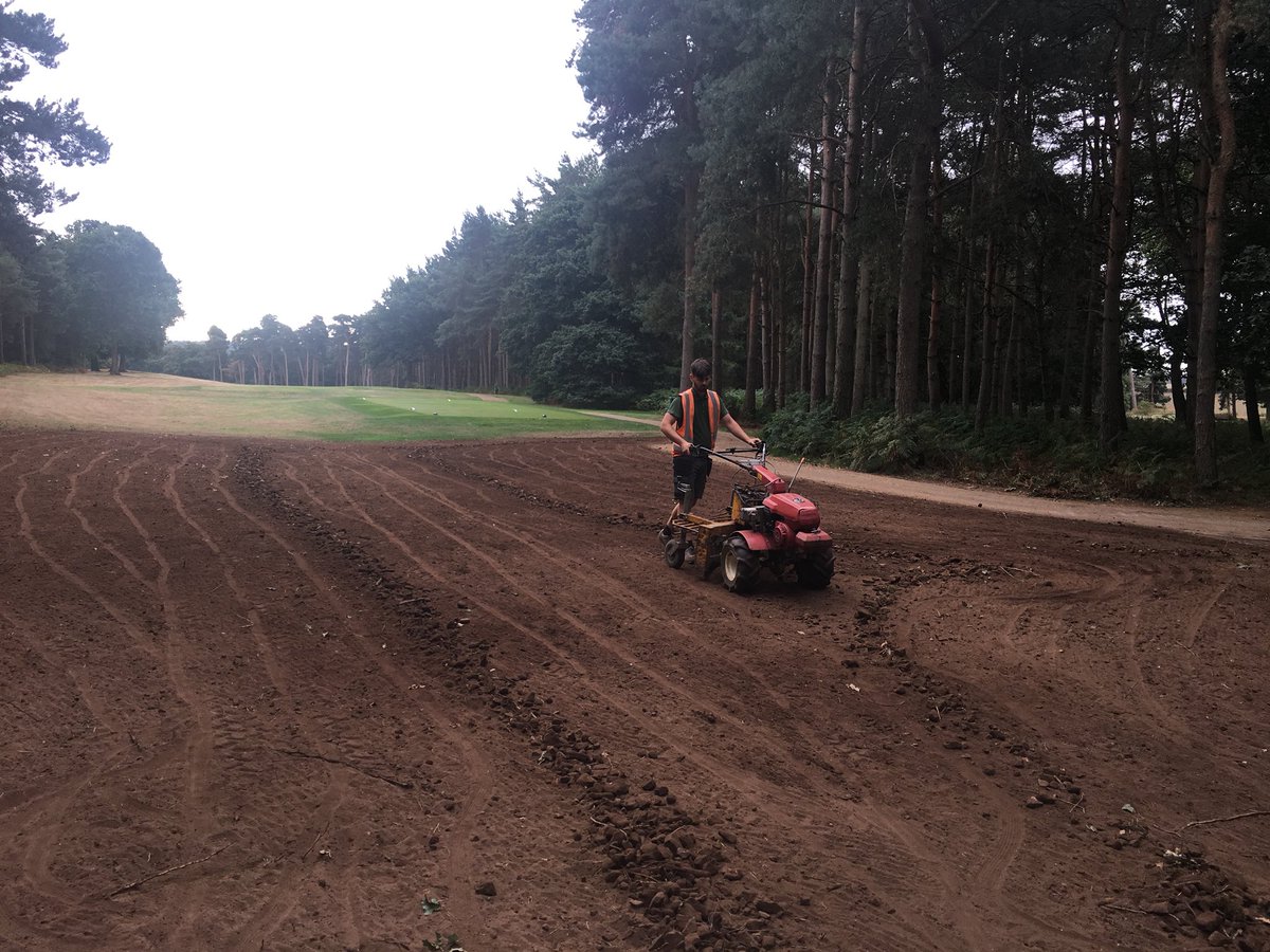 Fineturf tweet media