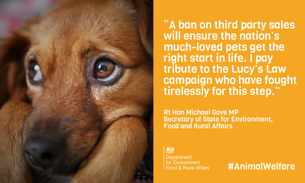 “People who have a complete disregard for pet welfare will no longer be able to profit from this miserable trade.” <a href="/michaelgove/">Michael Gove</a> on today’s third party puppy sales announcement. Find out more: #AnimalWelfare gov.uk/government/new…