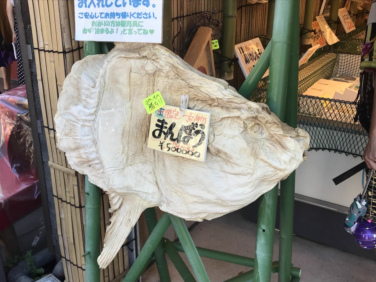 こんなの見たことない！！とある干物屋さんがいろいろ衝撃的すぎるwww