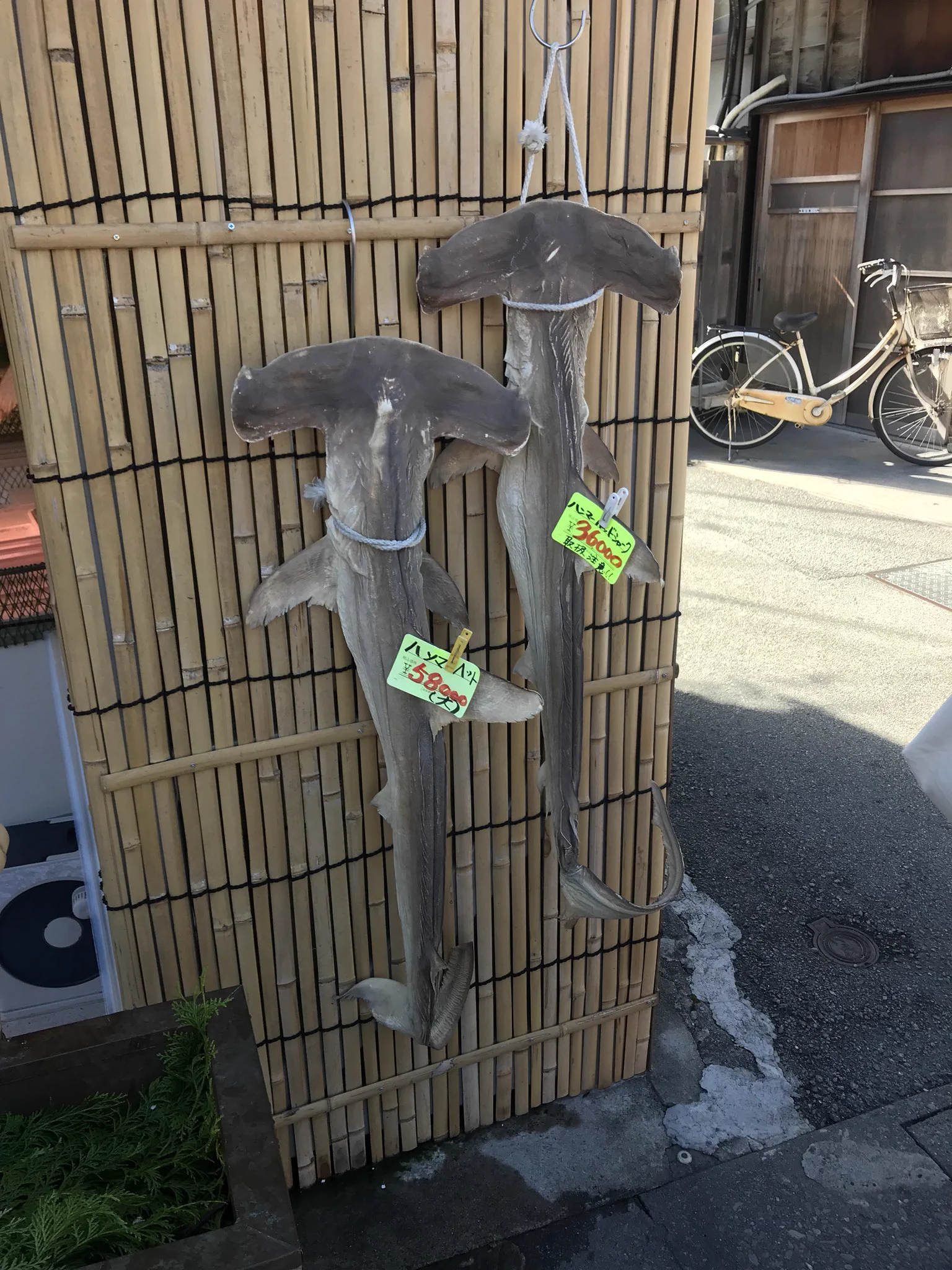 こんなの見たことない！！とある干物屋さんがいろいろ衝撃的すぎるwww