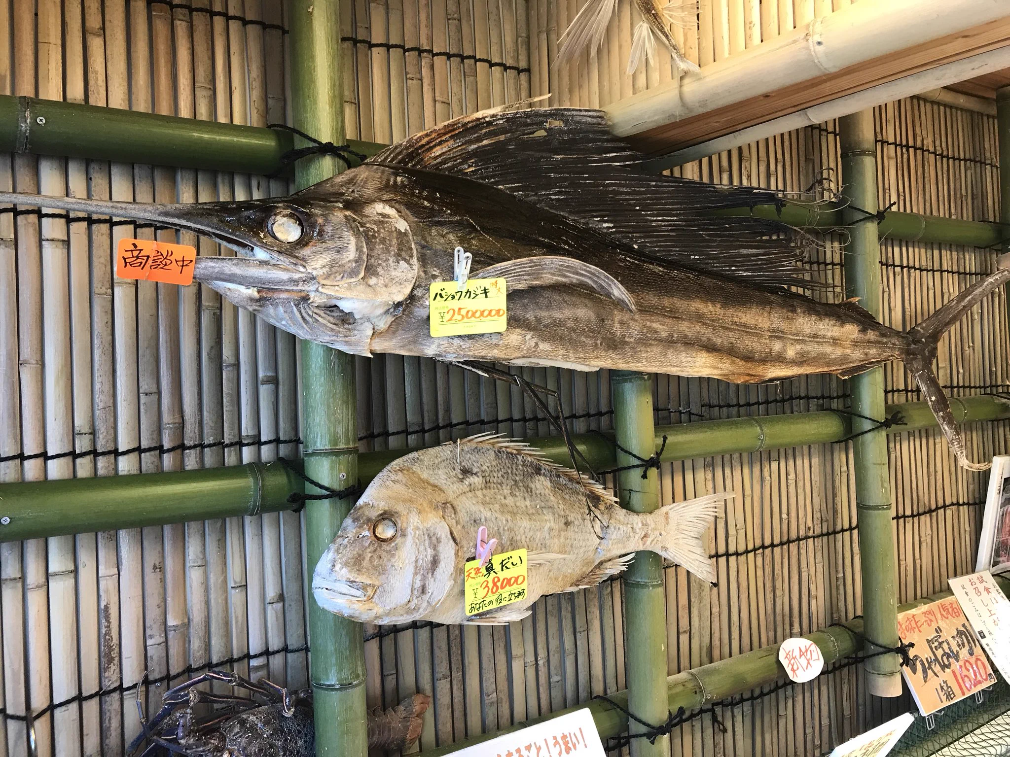 こんなの見たことない！！とある干物屋さんがいろいろ衝撃的すぎるwww