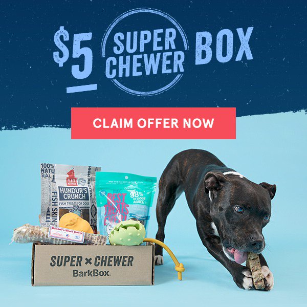 barkbox $5 first box