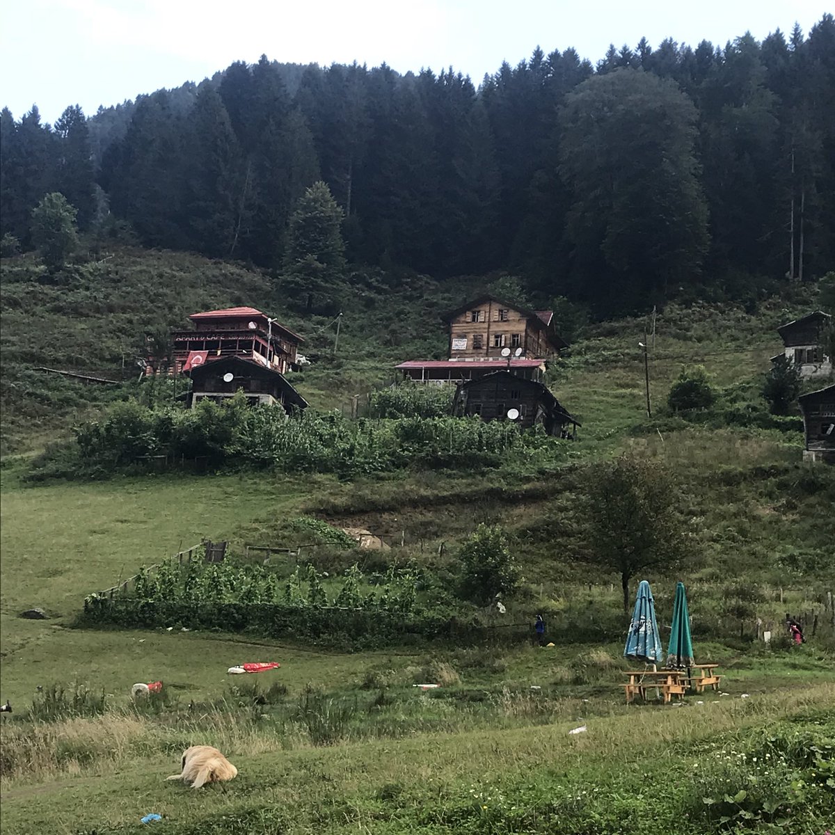 S_Gurmeler's tweet photo. İyi Bayramlar ! #Karadeniz gibi coşkulu ve yemyeşil bir bayram olsun 😘😘😘 #YerumsenuKaradenuz https://t.co/bls4fnk9Z2