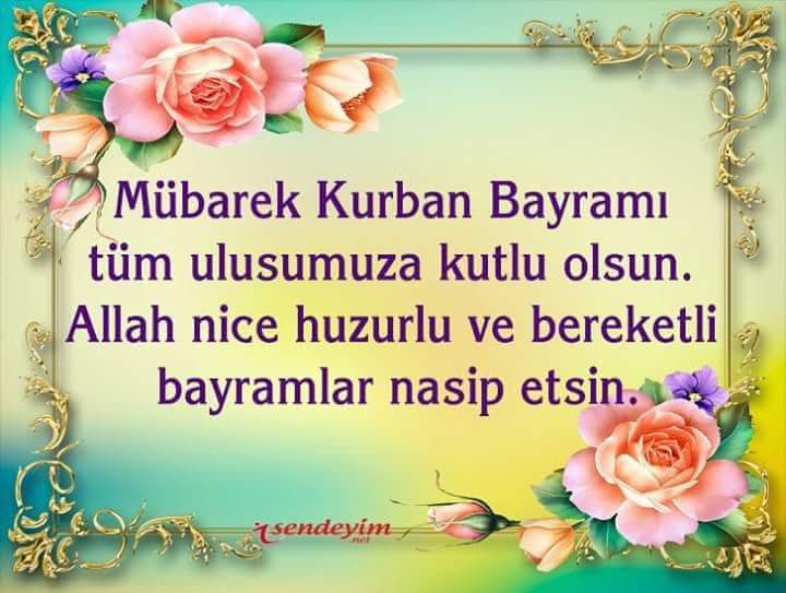 ERKAN ER tweet media