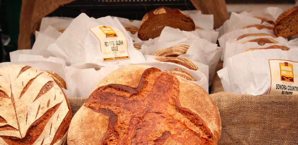 ReneeRD's tweet photo. When it comes to buying bread, the options are endless. Here's the secret to making a healthy choice. https://t.co/opaPtNaGsU #nutritiontips #nutrition #healthyeats https://t.co/eS7QWSrZbs
