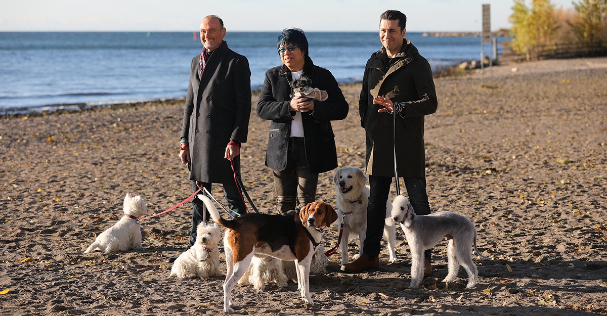 Applying is a walk in the 🐕 park! Casting is now OPEN for season 6 of <a href="/CTV/">CTV</a>’s #MasterChefCanada. Apply now: ow.ly/jh6V30lv2CA