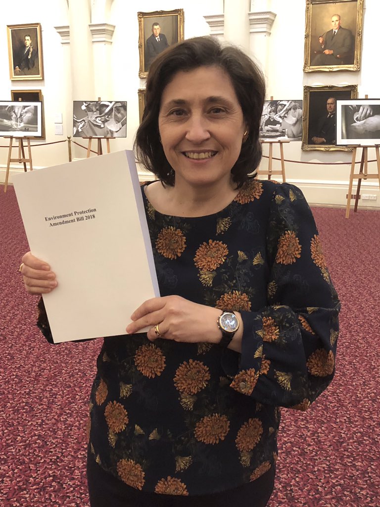 Lily D'Ambrosio MP tweet media