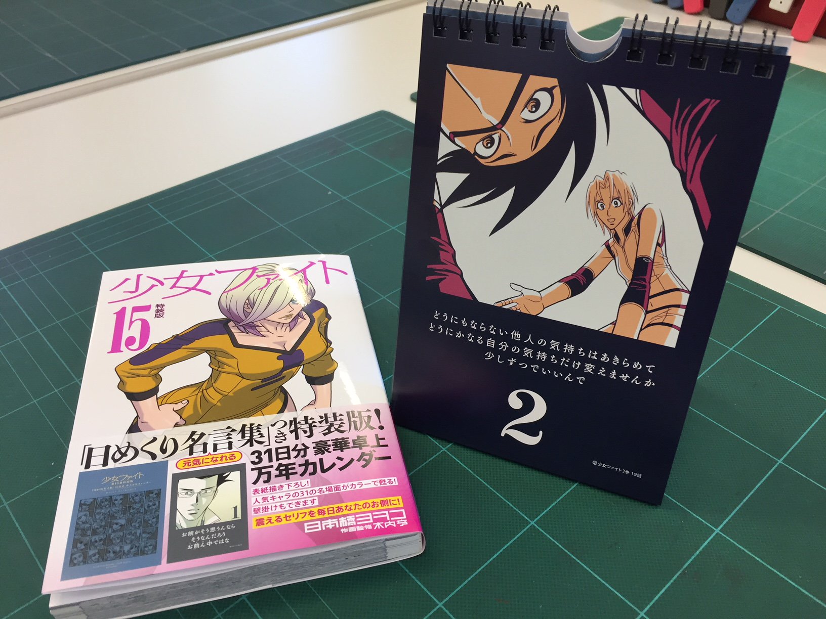 とっておきし新春福袋 少女ファイト 特装版 15 青年漫画