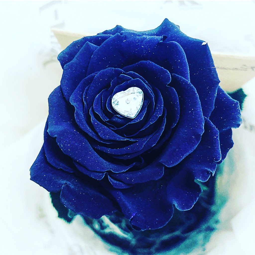 AncellsEstates's tweet photo. ‘Happy 1 Year Work Anniversary’ to our Property Manager Emma Payne. Thank you for all your hard work, you’re a diamond!
#ancellsestates #surprise #happyoneyearworkanniversary #beauk #foreverrose #propertymanager #lettings #thankyou #singlestem #eastbourne #beaukflorist https://t.co/kKM19LWz0a